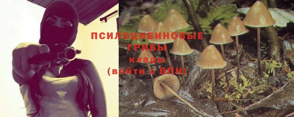 таблы Новодвинск