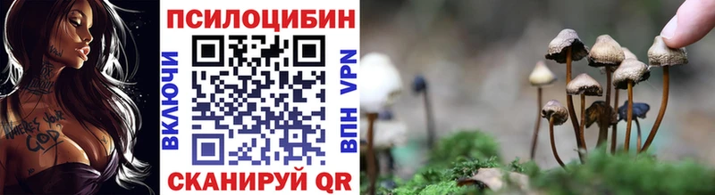 что такое наркотик  Кадников  Псилоцибиновые грибы мухоморы 